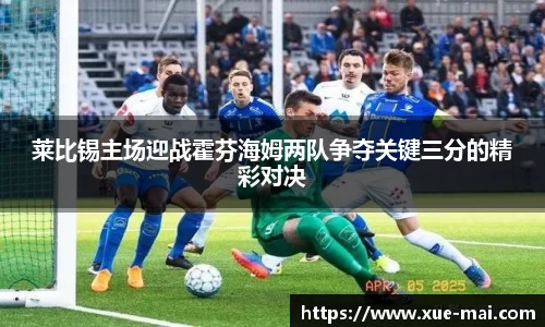 莱比锡主场迎战霍芬海姆两队争夺关键三分的精彩对决